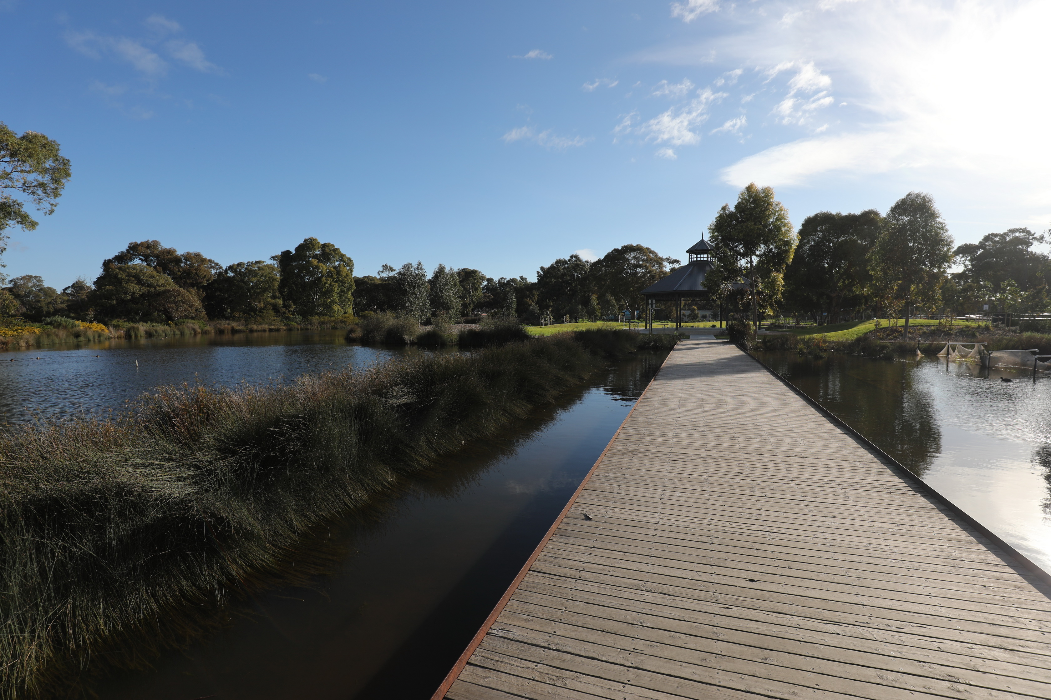 2019 08 25 16 09 09 Canon EOS 5D Mark IV 0013